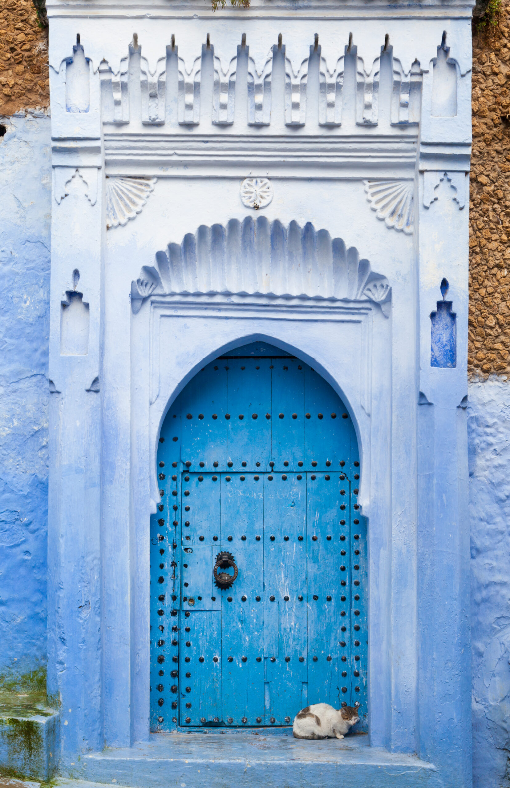 Porte en bois bleu avec un chat à Chefchaouen, la ville bleue du Maroc